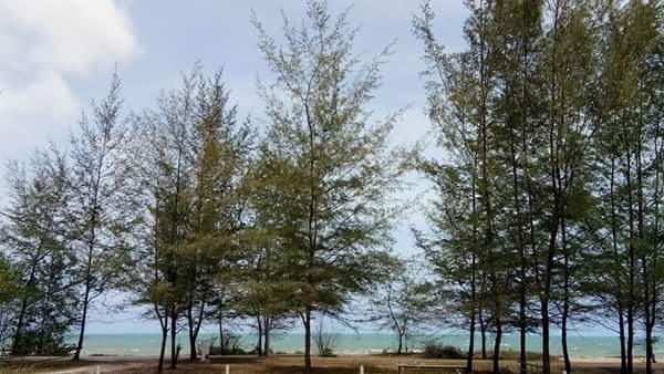 Paka Tamim Seaview Hotel 外观 照片